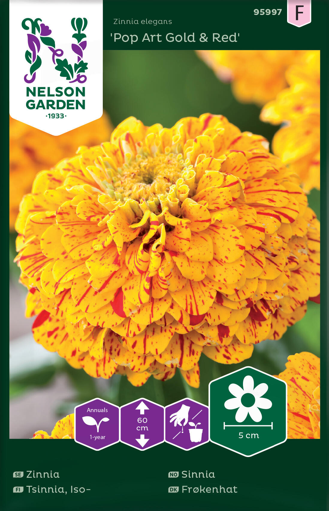 Sinnia 'Pop Art Gold & Red'